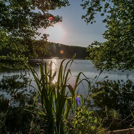 Mazury & 므랑고보