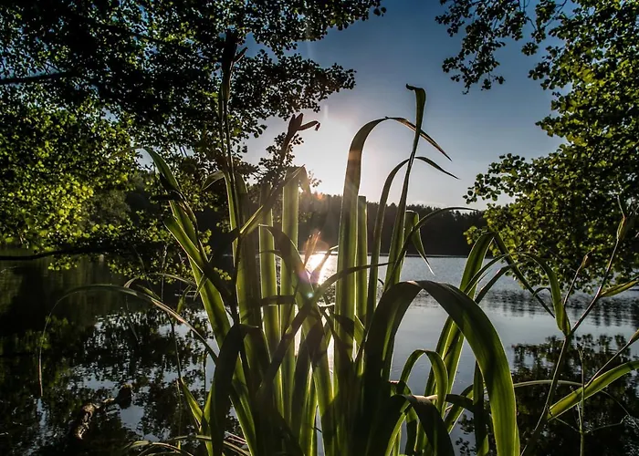 酒店 Mazury & 姆拉哥沃