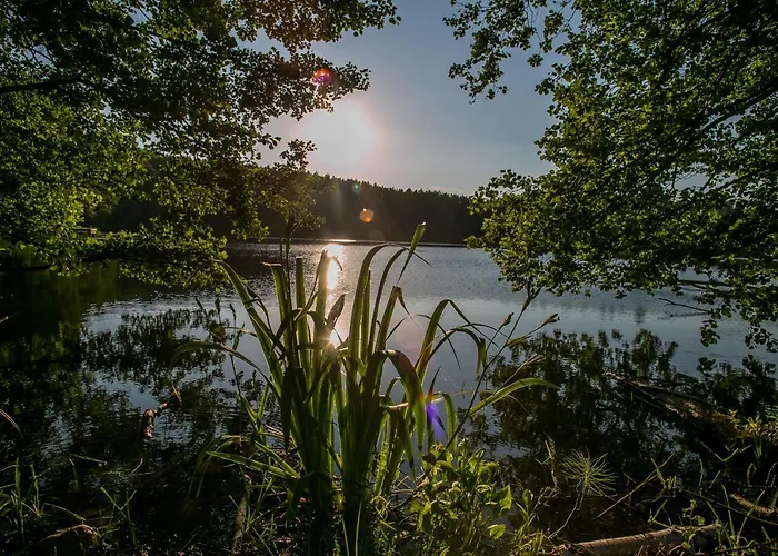 Mazury & 姆拉哥沃